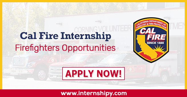Cal Fire Internship
